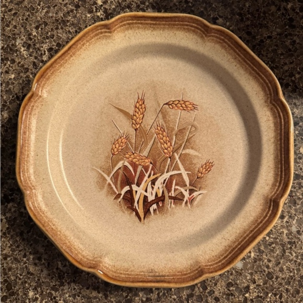 [MIKASA] (1) Dinner Plate: Mikasa Whole
Wheat E8001
